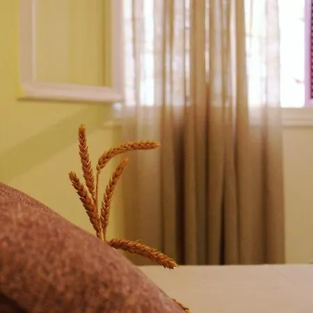 Apartment Alegria